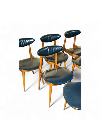 Ensemble de 6 chaises “Licorne” par Pierre Guariche pour Baumann, structure en hêtre verni et assise en skaï noir, design français moderniste des années 60.